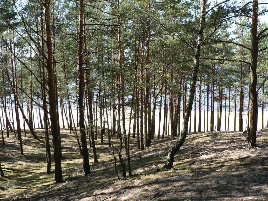 Krauklis Beach Apartments Saulkrasti Esterno foto